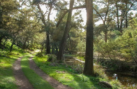 Turon National Park - Accommodation Mount Tamborine 0