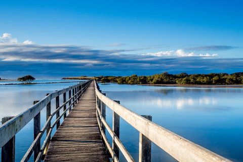 Urunga Boardwalk - Accommodation Mount Tamborine 1