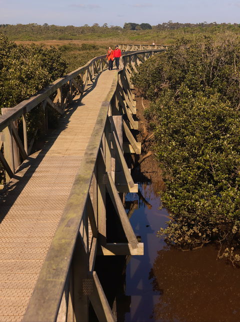 Warringine Park & Bittern Coastal Wetlands Boardwalk - Accommodation Mount Tamborine 0