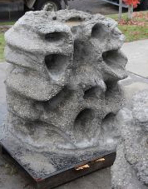 Windara Reef - Accommodation Mount Tamborine 0