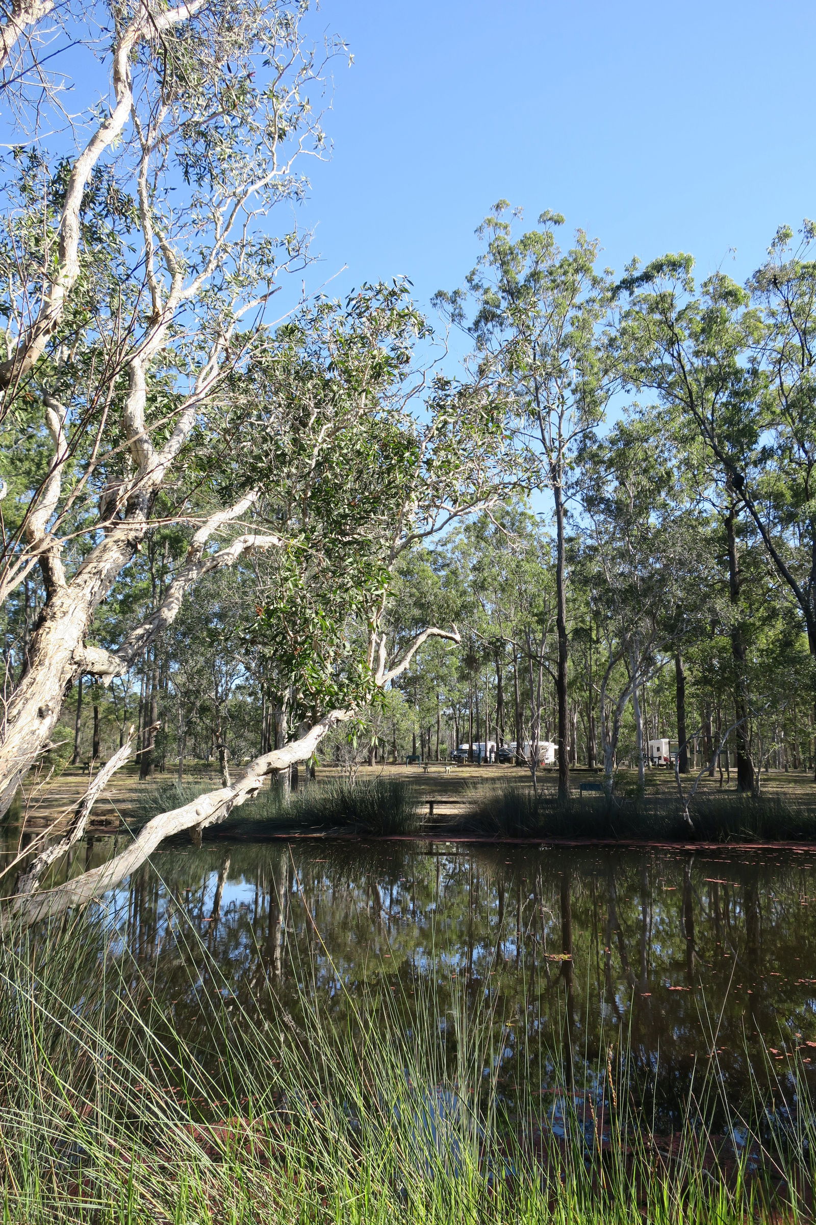 Duckinwilla QLD Accommodation Mount Tamborine