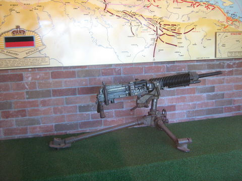Woodpecker Gun - Accommodation Mount Tamborine 0