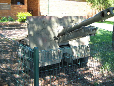Woodpecker Gun - Accommodation Mount Tamborine 1