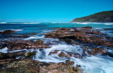 Wyrrabalong National Park - Accommodation Mount Tamborine 0