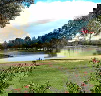 Yowani Country Club Incorporated - Accommodation Mount Tamborine