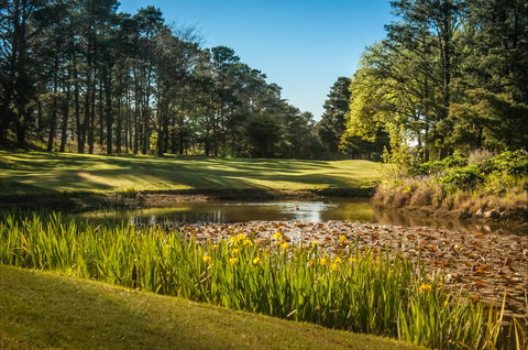 Yowani Country Club Incorporated - Accommodation Mount Tamborine 2