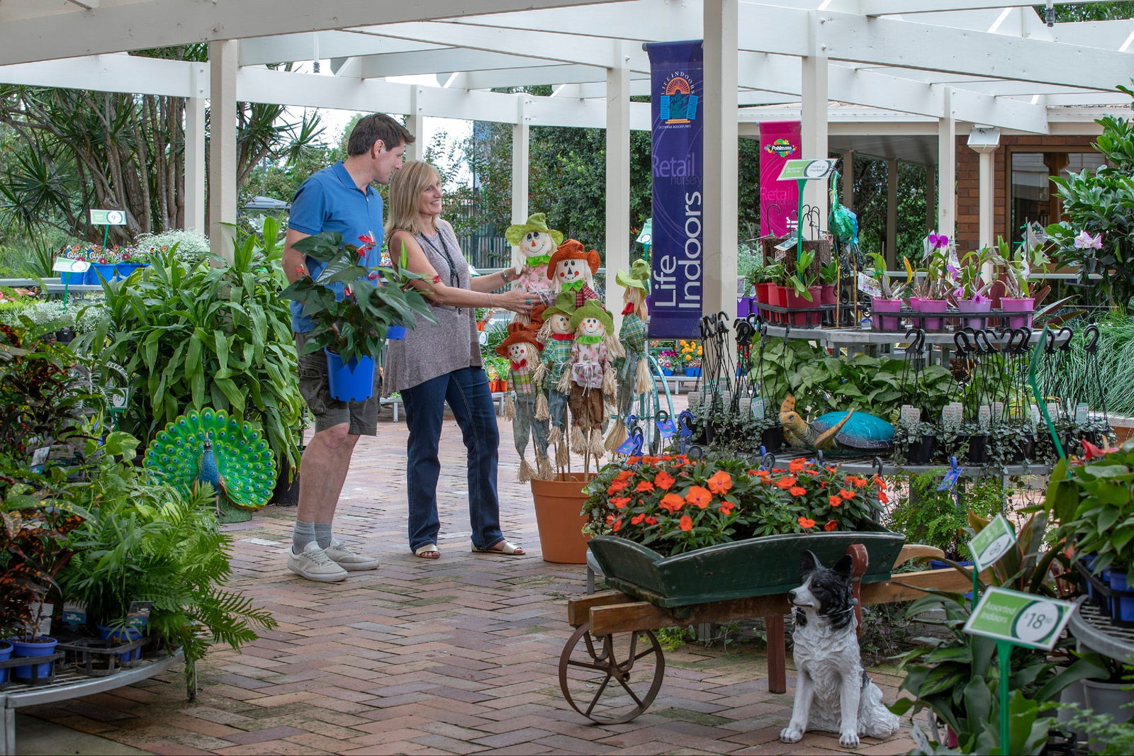 Adare QLD Accommodation Mount Tamborine