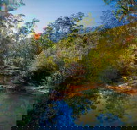 Bargo State Conservation Area - Accommodation Mount Tamborine