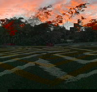 Bellingham Maze - Accommodation Mount Tamborine