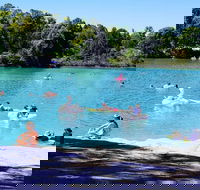 Black Diamond Lake - Accommodation Mount Tamborine