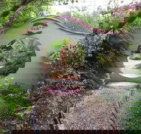 Black Dragon Gardens Wulong Yuan - Accommodation Mount Tamborine