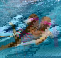 Blacktown Aquatic Centre - Accommodation Mount Tamborine