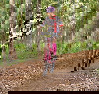 Bom Bom State Forest Mountain Bike Trails - Accommodation Mount Tamborine