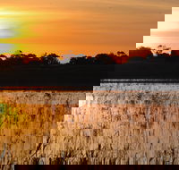 Bool Lagoon Game Reserve and Hacks Lagoon Conservation Park - Accommodation Mount Tamborine