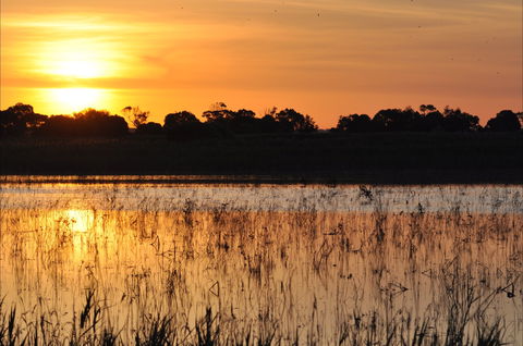 Bool Lagoon Game Reserve And Hacks Lagoon Conservation Park - Accommodation Mount Tamborine 0