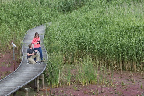 Bool Lagoon Game Reserve And Hacks Lagoon Conservation Park - Accommodation Mount Tamborine 2