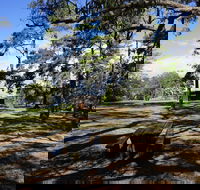 Bowen Mountain Park - Accommodation Mount Tamborine