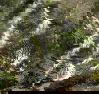 Buddong Falls Walking Track - Accommodation Mount Tamborine