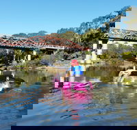 Canoeing at Clarence Town - Accommodation Mount Tamborine
