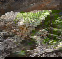 Cave Creek Walking Track - Accommodation Mount Tamborine