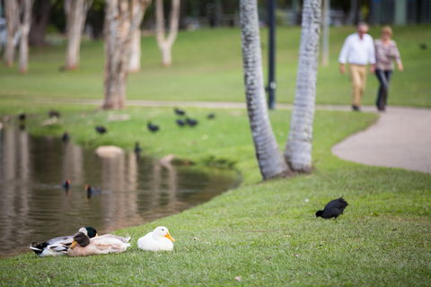 Centenary Lakes Park - Accommodation Mount Tamborine 2