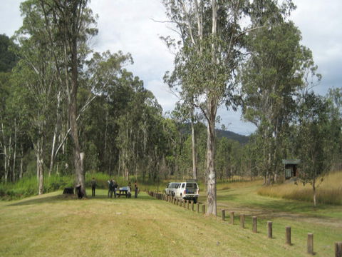 Chaelundi National Park - Accommodation Mount Tamborine 0
