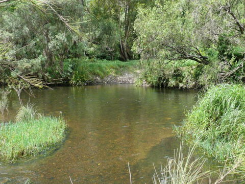 Chaelundi National Park - Accommodation Mount Tamborine 2