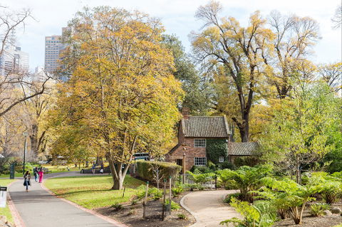 Cooks' Cottage - Accommodation Mount Tamborine 1