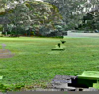 Cottonwood Glen Picnic Area - Accommodation Mount Tamborine