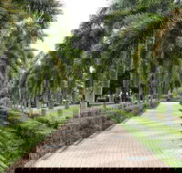Dan Gleeson Memorial Gardens - Accommodation Mount Tamborine