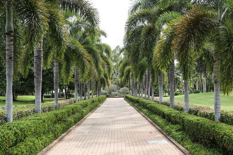 Dan Gleeson Memorial Gardens - Accommodation Mount Tamborine 0