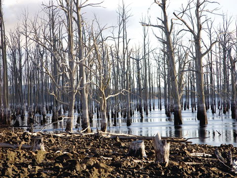 Derwent Valley And Central Highlands - Accommodation Mount Tamborine 1
