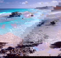 Dhimurru Recreational Area - Accommodation Mount Tamborine