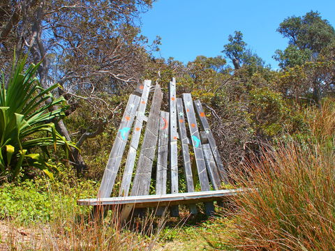 Diggers Headland - Accommodation Mount Tamborine 1