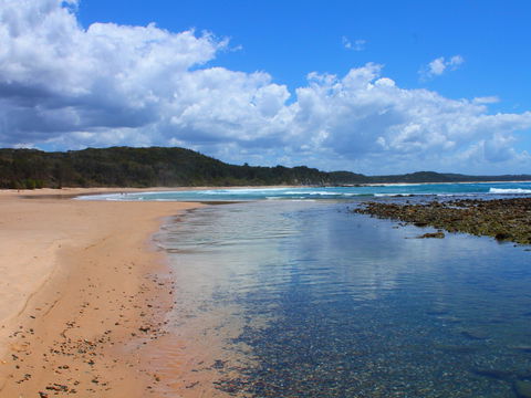 Diggers Headland - Accommodation Mount Tamborine 2