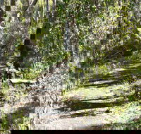 Euglah Rock Walking Track - Accommodation Mount Tamborine