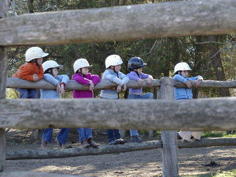 Harlow Park Horse Riding - Accommodation Mount Tamborine 0