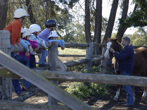 Harlow Park Horse Riding - Accommodation Mount Tamborine 2