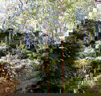 Haunted Point Loop Walk - Accommodation Mount Tamborine