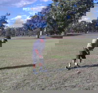 Inverell Golf Club - Accommodation Mount Tamborine