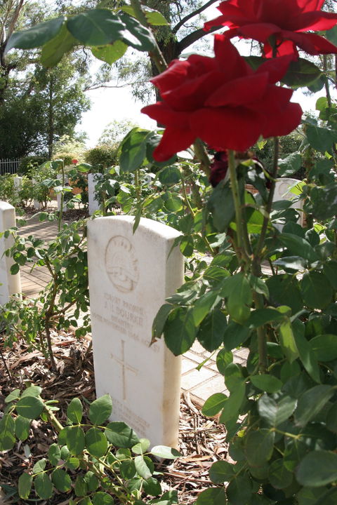 Japanese And Australian War Cemeteries - Accommodation Mount Tamborine 1