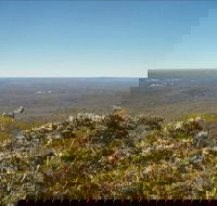 Jerrawangala National Park - Accommodation Mount Tamborine