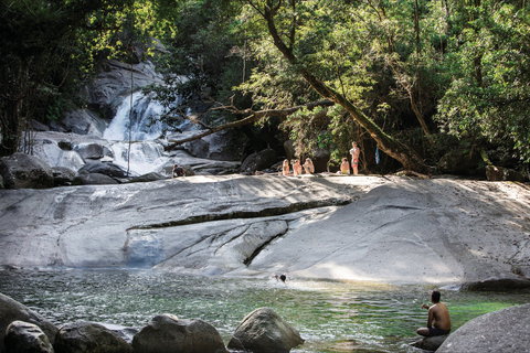 Josephine Falls Walking Track, Wooroonooran National Park - Accommodation Mount Tamborine 1