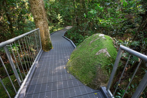 Josephine Falls Walking Track, Wooroonooran National Park - Accommodation Mount Tamborine 2