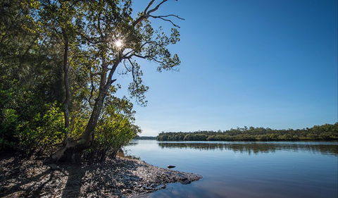 Karuah River National Park And Nature Reserve - Accommodation Mount Tamborine 0