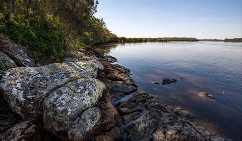 Karuah River National Park And Nature Reserve - Accommodation Mount Tamborine 2