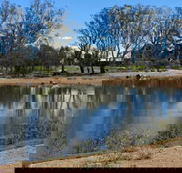 Lake King Wetlands at Rutherglen - Accommodation Mount Tamborine