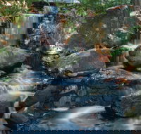Mackay Regional Botanic Gardens - Accommodation Mount Tamborine