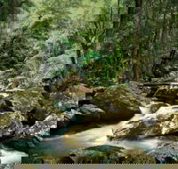 Maleny - Accommodation Mount Tamborine