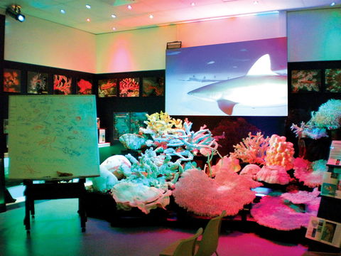 Marine Discovery Centre Hastings Point - Accommodation Mount Tamborine 0